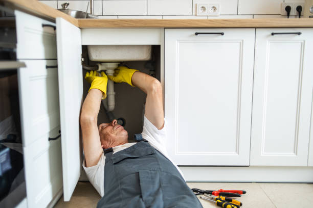 Best Garbage Disposal Repair and Installation  in Luverne, MN